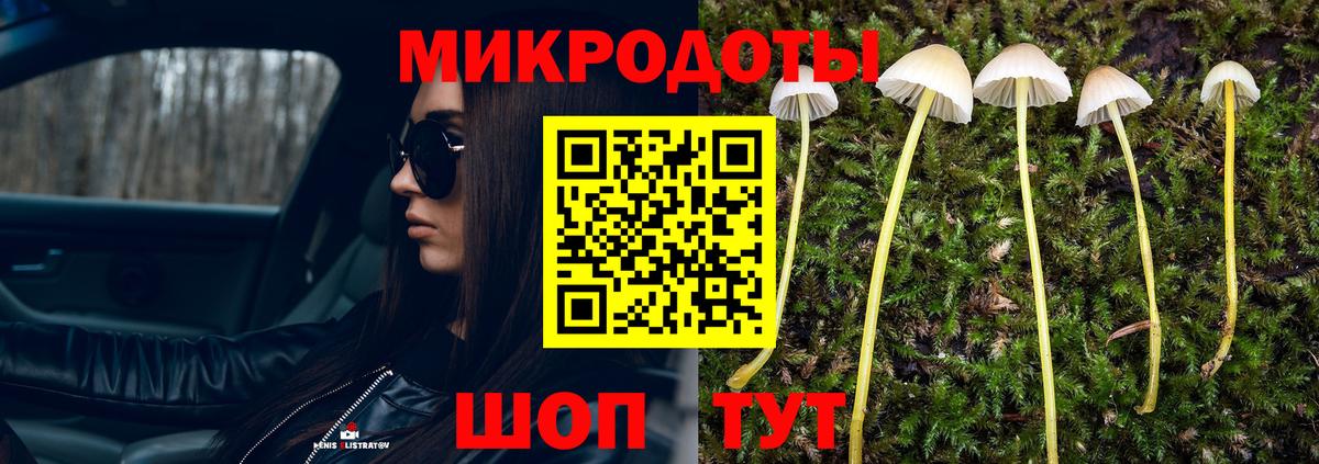 Псилоцибиновые грибы MAGIC MUSHROOMS Чайковский